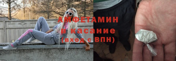 гидра Горняк