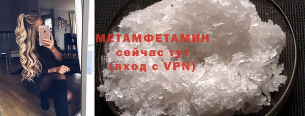 гидра Горняк