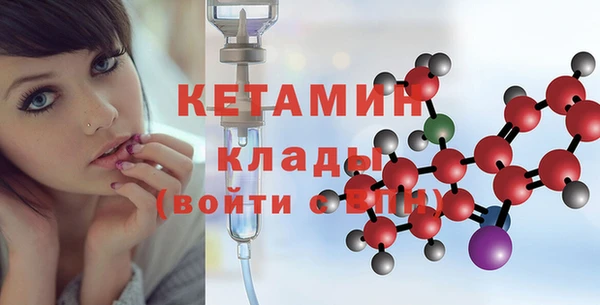 гидра Горняк