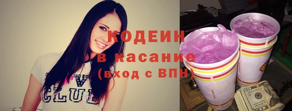 гидра Горняк
