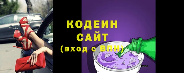 гидра Горняк