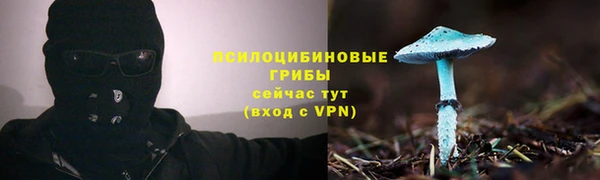 твердый Гусиноозёрск