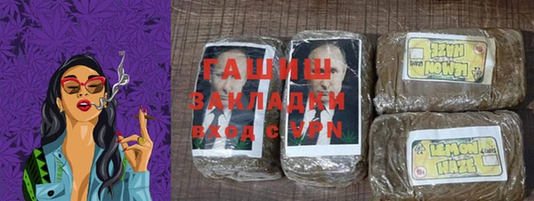гидра Горняк