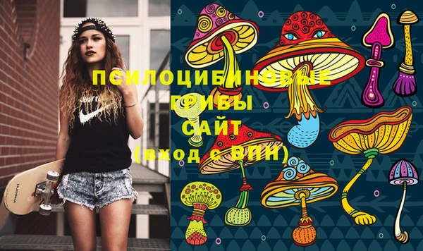 гидропоника Горно-Алтайск