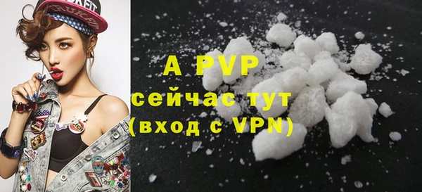 гидра Горняк