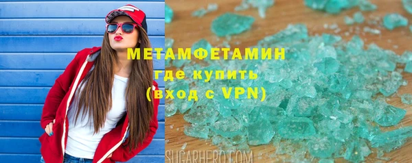гидра Горняк